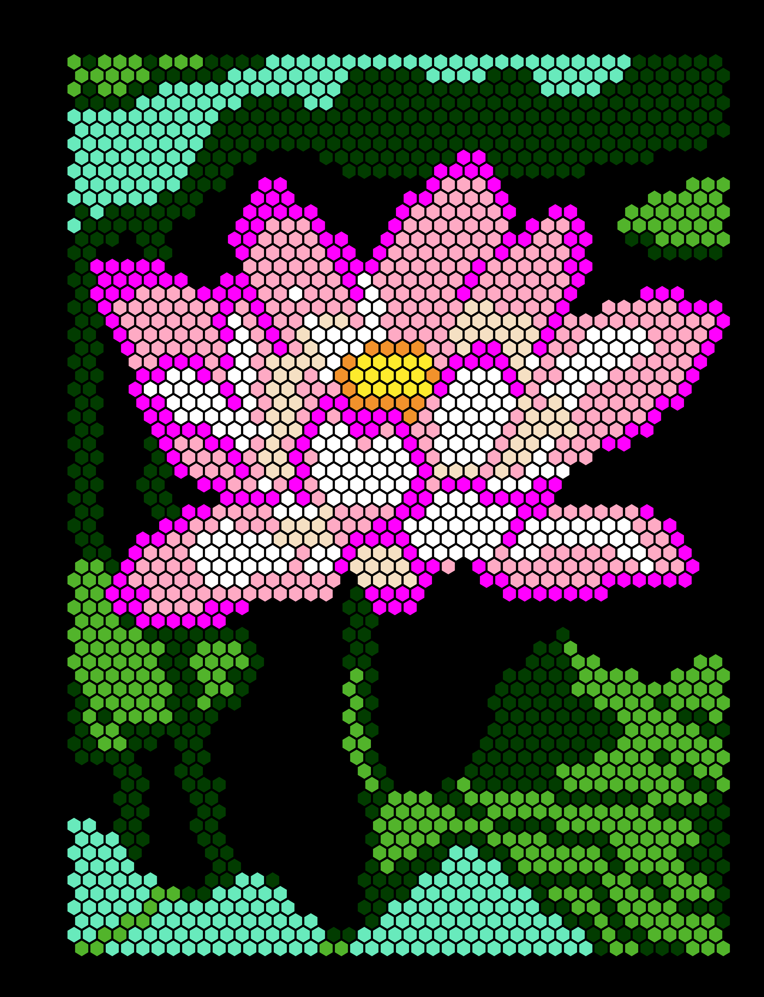 Lotus Cat